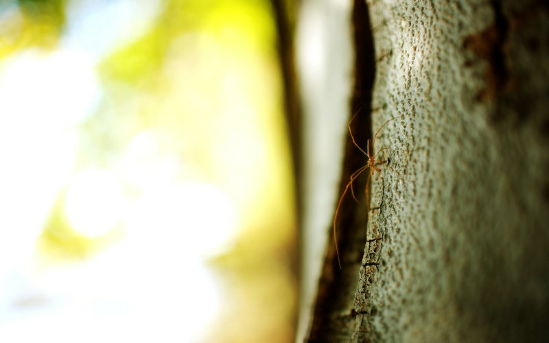 节能补贴政策 节能补贴政策20个点 节能补贴政策 节能补贴政策20个点