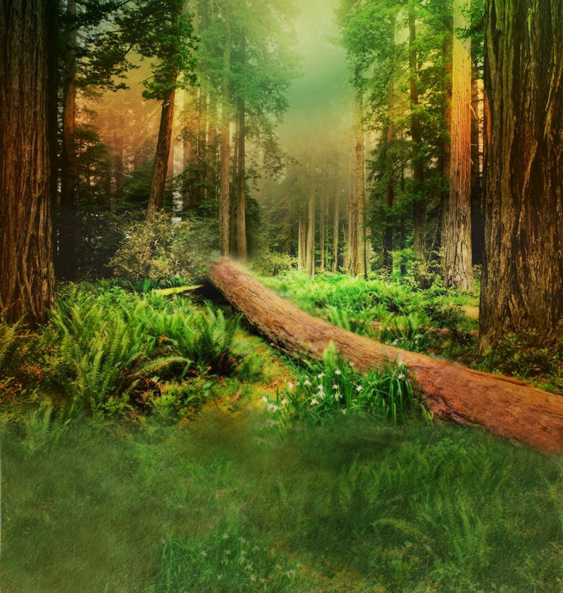 ÷¹ʲô(÷¹ʲôݣϲЩʳ)