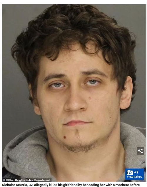 л�����ϸ������϶�����