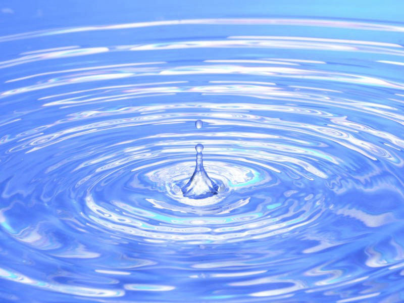 ������������� ����������������� 