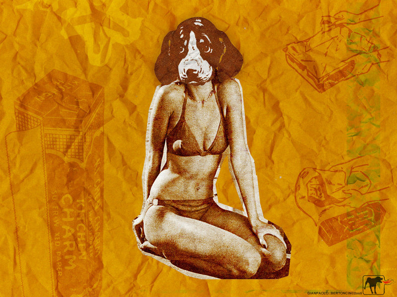 �Ŵ��ȹ��������Ŵ����ֿ�