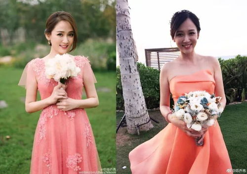 谷物干燥机(谷物干燥机原理与谷物干燥机设计) 谷物干燥机(谷物干燥机原理与谷物干燥机设计)