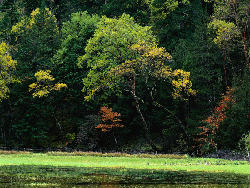 ʯ��ׯ��ҵ���� �ӱ�ũ������