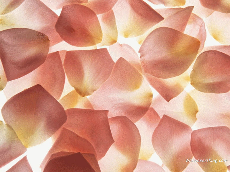 ���������ԭ�Ͳɷ� ���������������ܵ�ԭ