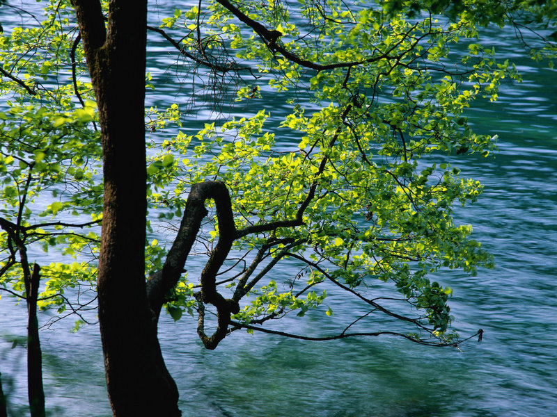 李荣浩是什么时候出名的 李荣浩是什么时候出名的