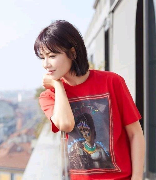 �Ƶ겼������_�й�ʮ������Ƶ�