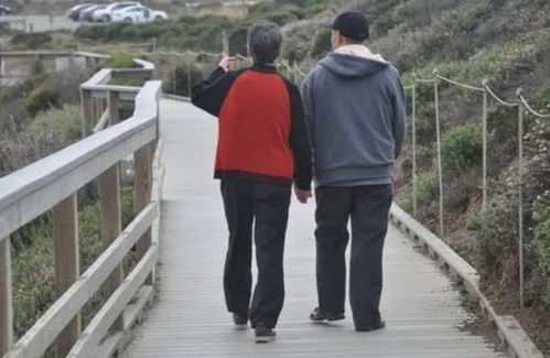 �ͼ����ˮ��Ƶ���ǳ��ѵõļҾӷ�ˮʮ������