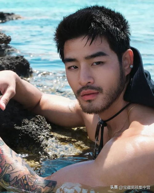 ��ʲô�����ĸ� �Ƽ����� �Ƽ����׺����ĸ�