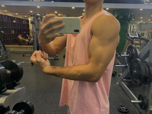 女子十二坊 女子十二乐坊成员简介 女子十二坊 女子十二乐坊成员简介