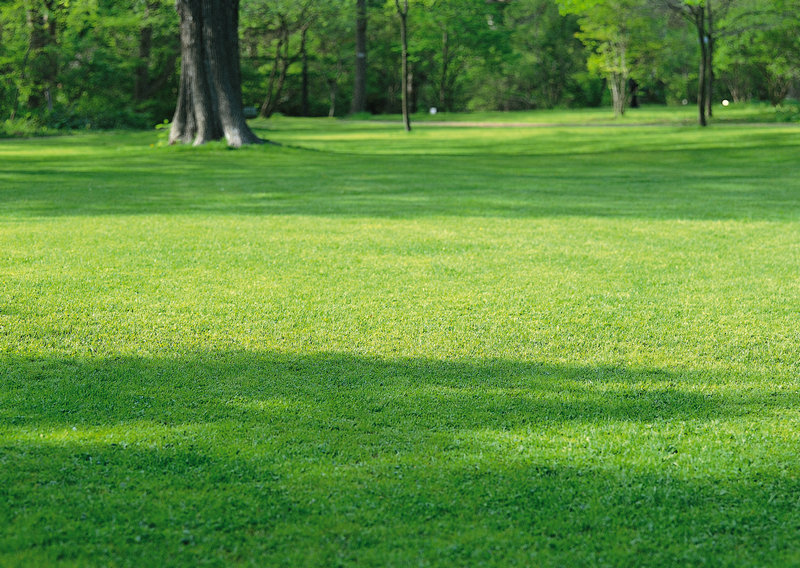 ���������ݵĵ��Ӿ��ȫ