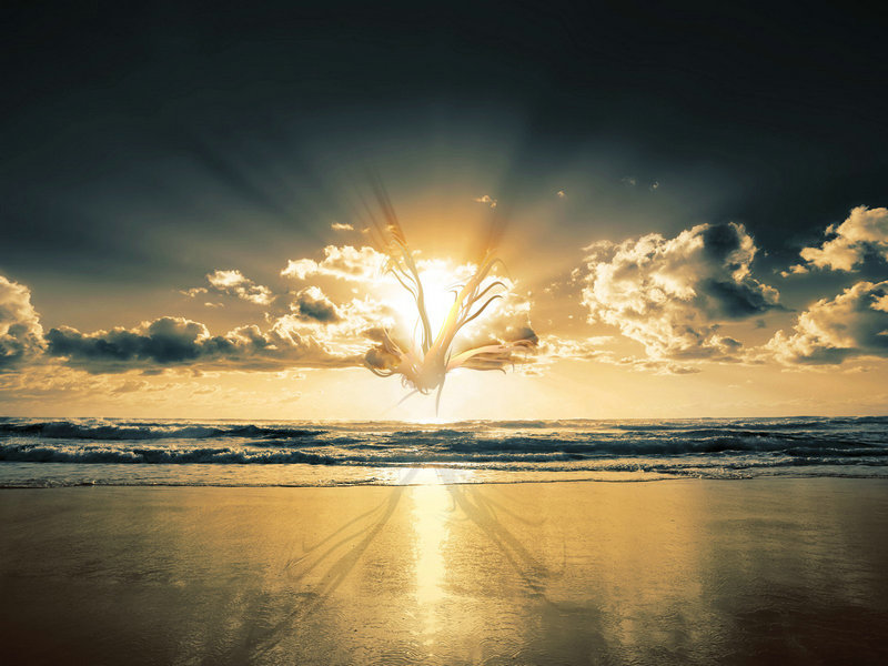 ί й˾ ί й˾ֵ  ҵ