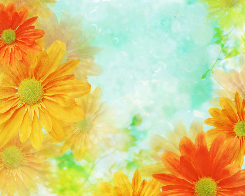 ��Ա��С贸������ϼ���