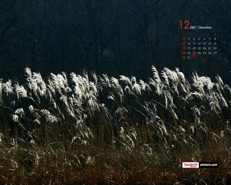 ��Ϊ��С����Ϊ�η��� ����Ϊ����� �볣��