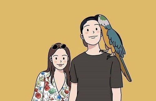 ����εĸ��˼��� �ͺ�����СҶ�����ӵİ���