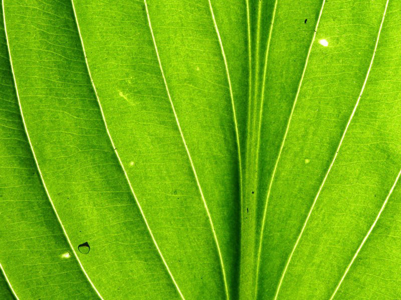 ������ʲô�� ������ʲô�������