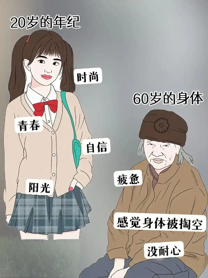 �����Ƹ������ϼ�������