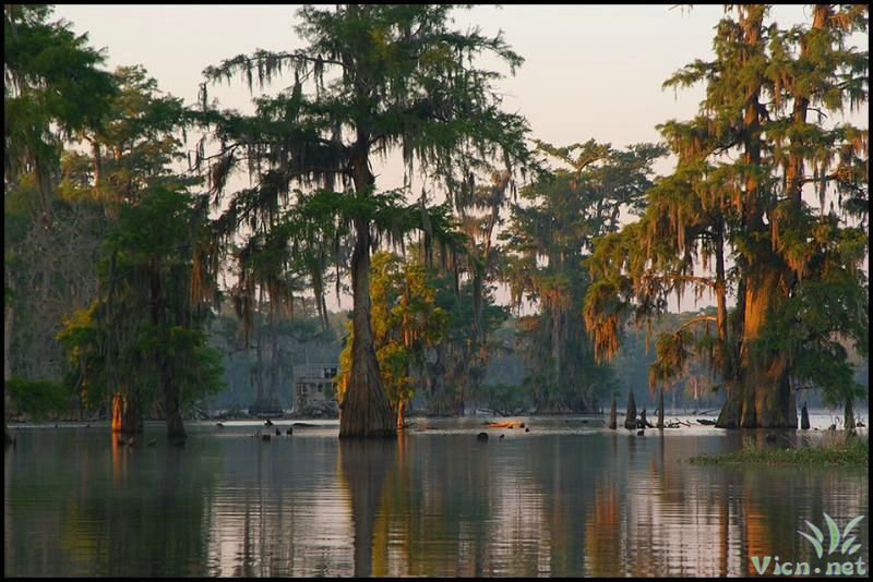 ���������ҳ����ڹ���1980��8��25���賿5��15��