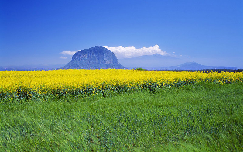 �������ݹ��ĵ��Ӿ����