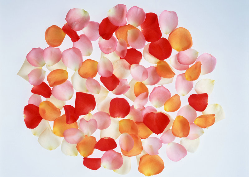 �����������ص�ɽ���� ���������ɽ����