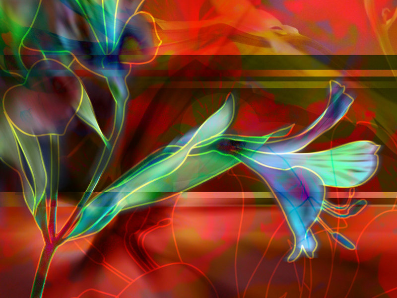 ���ǩ�������������������ǩ������զ���� 