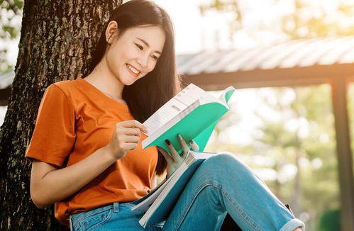 ����������Ǽǽ��� �����Ǻ�����̨������