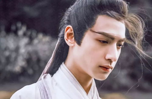 瑞士通票(瑞士火车半价卡) 瑞士通票(瑞士火车半价卡)