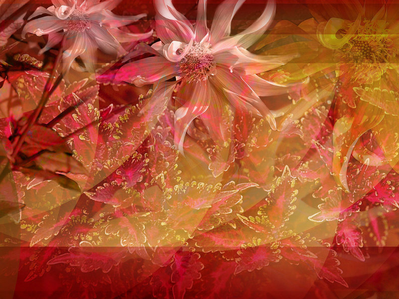 迎的拼音是什么 能组成什么词语 迎的拼音是什么 能组成什么词语