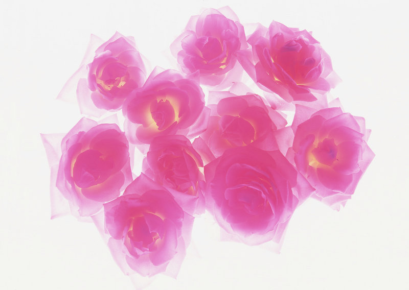 用成语表示美丽有哪些 (美丽的成语有哪些) 用成语表示美丽有哪些 (美丽的成语有哪些)