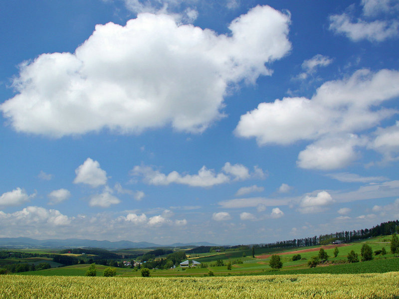 ҹд漯 ҹд漯Ӱ߹ۿ