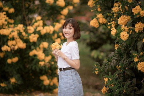 ��ʯ�ɽ�Ĺ���_��ʯ�ɽ�Ĺ���������˭