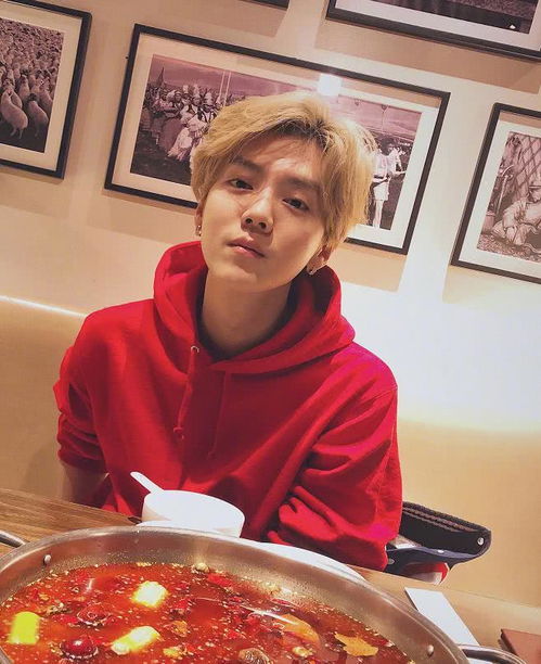 ��˫���ɲ�ɽ�¼� ��˫���ɲ�ɽ����