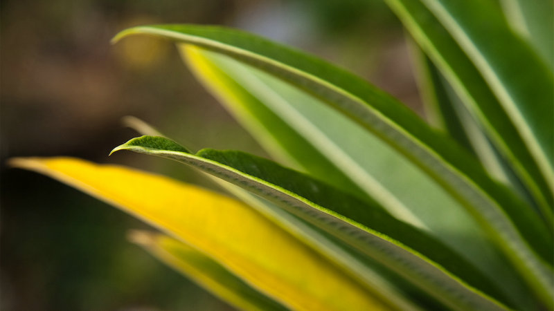 假日暖洋洋演员表全部2 假日暖洋洋演员表全部2