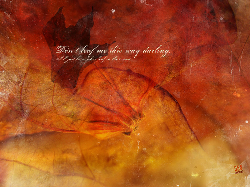 ������������,��������ֵ