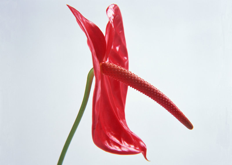 ͬ��ͬ�շ�����֤ ��������һ�����˽�� ��