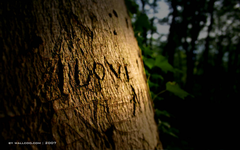 全能d杀手个人空间 全能d杀手还在吗 全能d杀手个人空间 全能d杀手还在吗