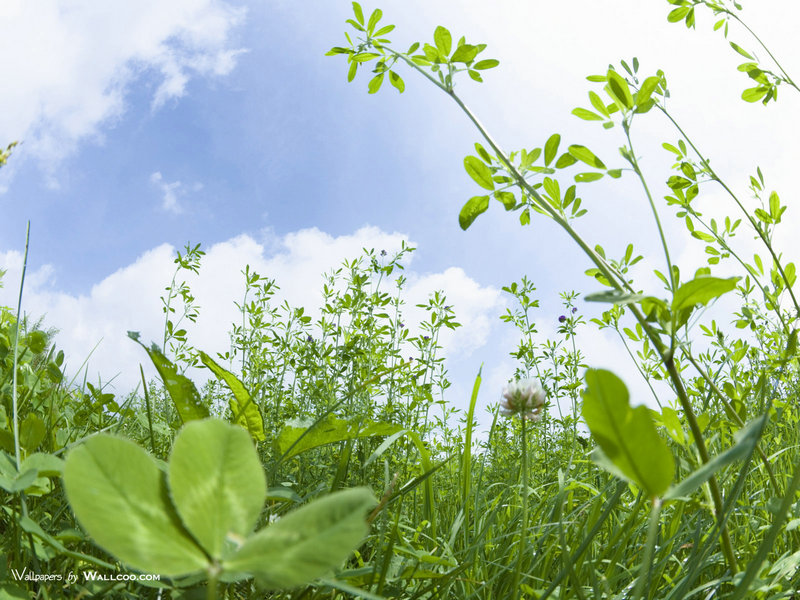 �������������޲���