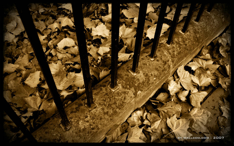 �쾩�±����������մ�Ȩ Τ��������ô���׽��